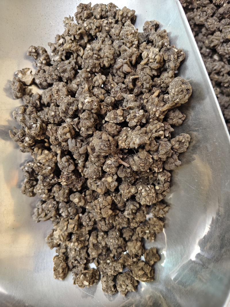 猫爪草中药材无硫正品水洗猫爪草量大优惠批发零售