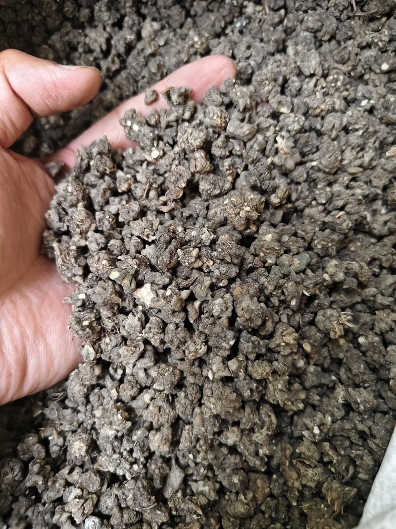 猫爪草中药材无硫正品水洗猫爪草量大优惠批发零售
