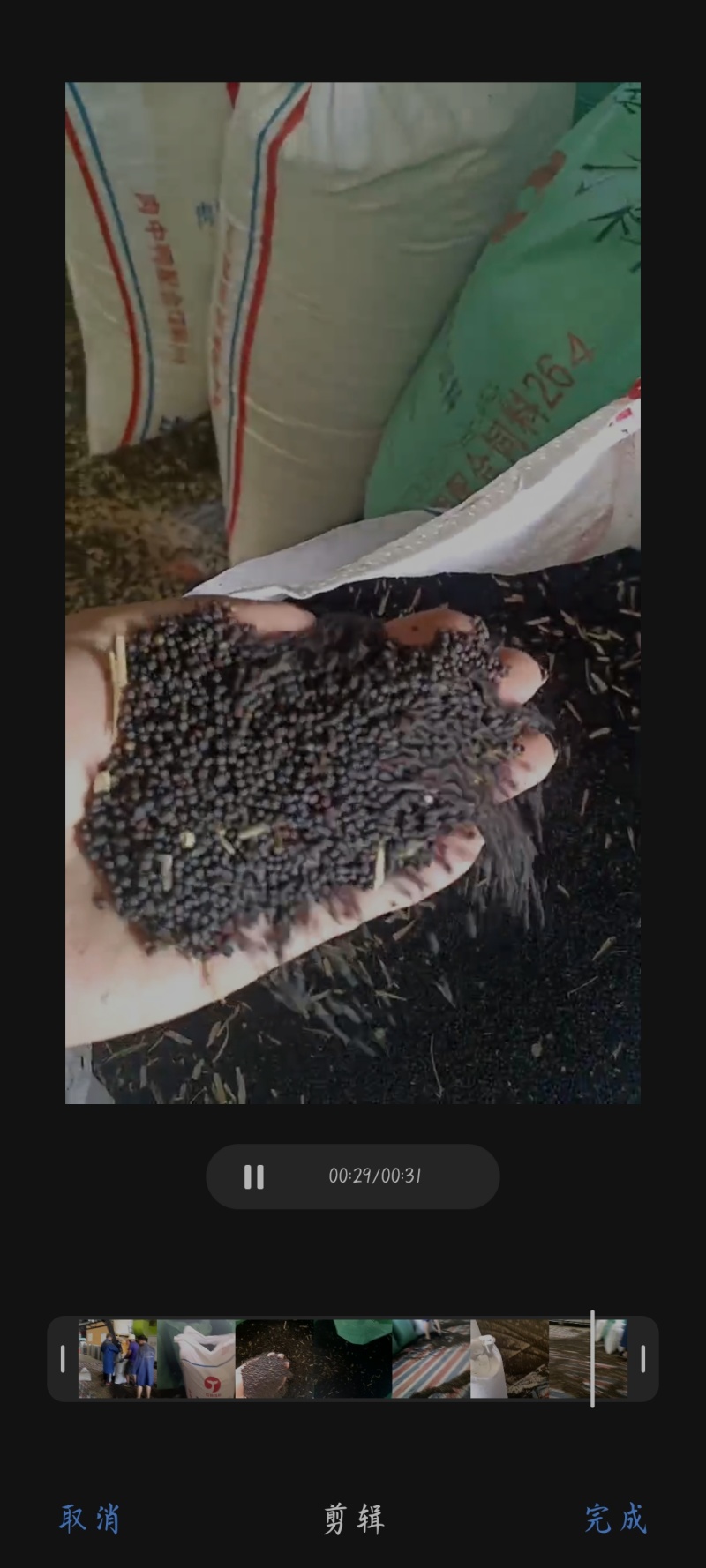 25年的高含油油菜籽，出油率高，油色漂亮，大量现货