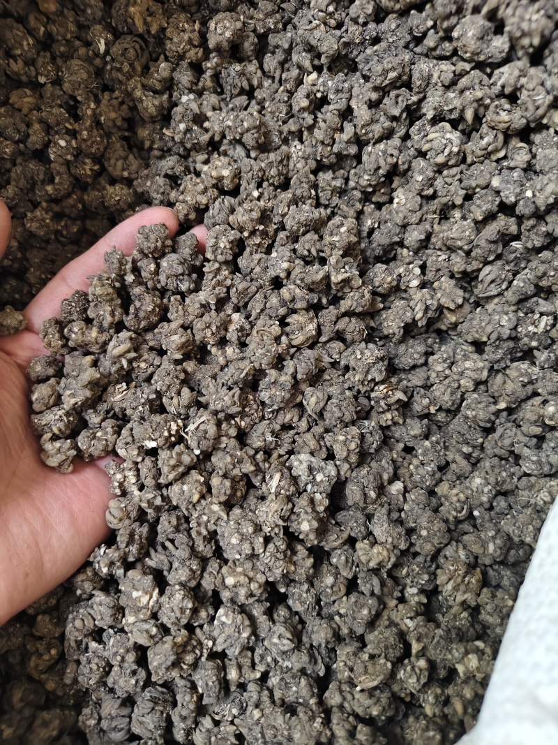 猫爪草中药材无硫正品水洗猫爪草量大优惠批发零售