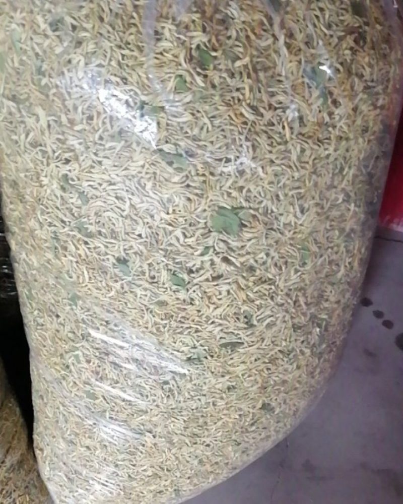 金银花