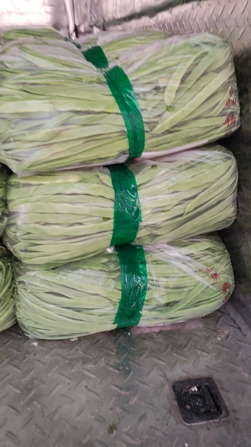 扁豆角大量上市