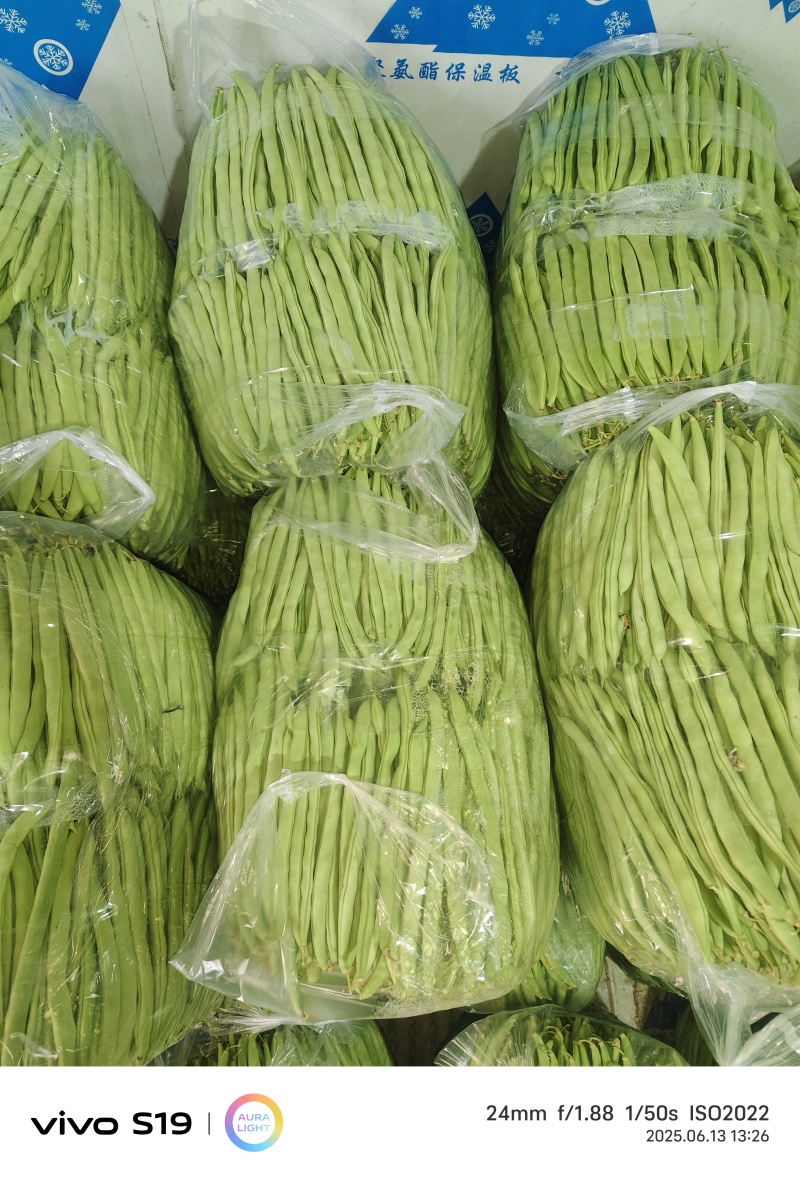四季豆，全国发货，诚信经营