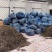 四川地豆干豆角大量供应东北辽宁吉林黑龙江各大批发市场