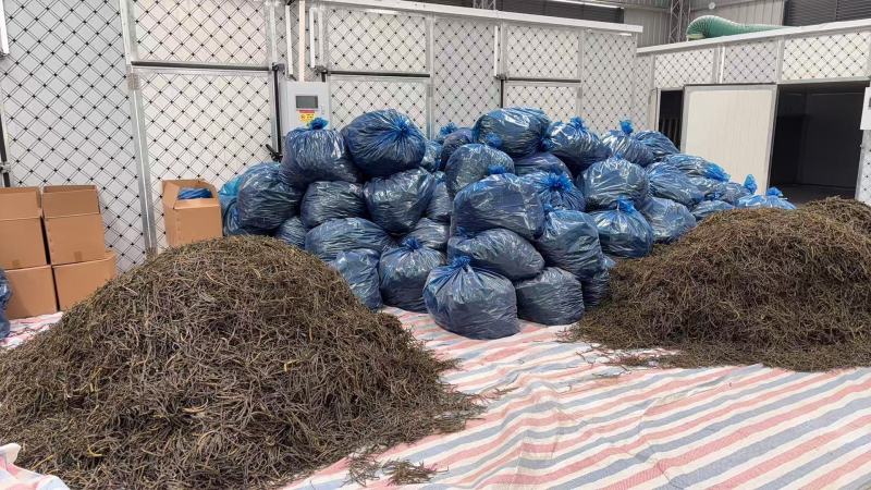 四川地豆干豆角大量供应东北辽宁吉林黑龙江各大批发市场