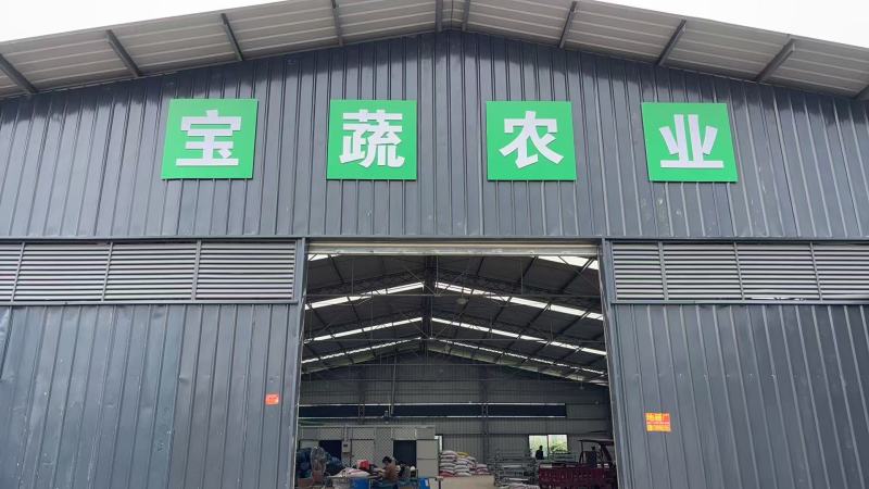 四川地豆干豆角大量供应东北辽宁吉林黑龙江各大批发市场