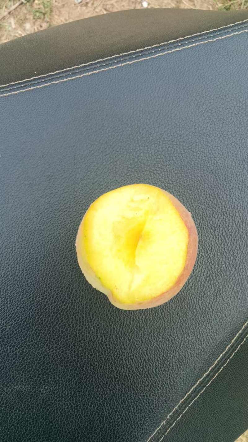 黄金蜜桃