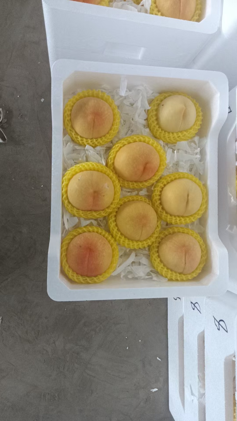 黄金蜜桃