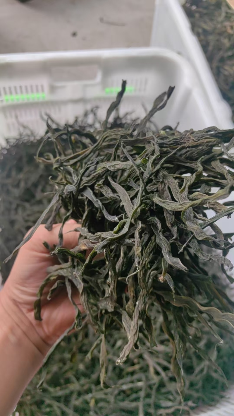 四川地豆干豆角架豆干豆角供应新发地十二线八家子等市场
