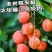 30+年老树糯米糍