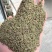 精品净度好