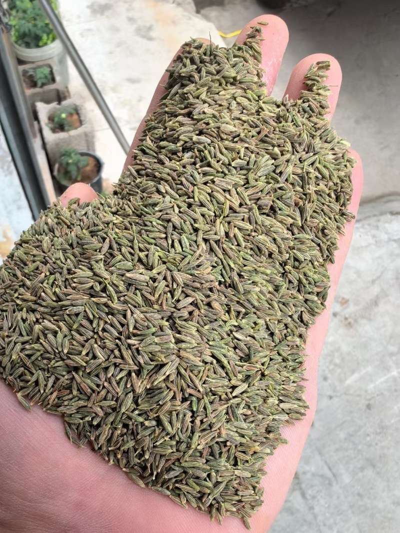 精品净度好