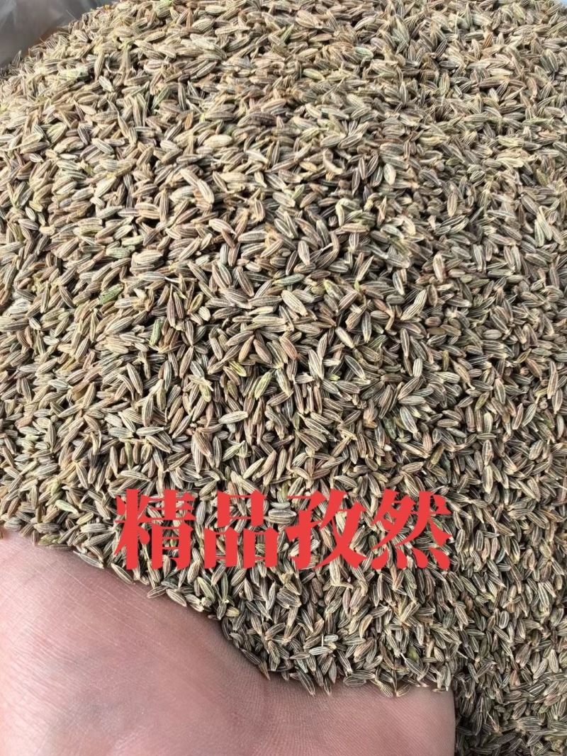 精品净度好