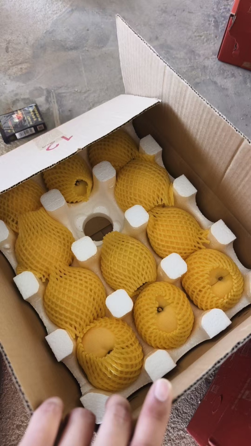 湖北枣阳黄桃，一件代发，电商代发