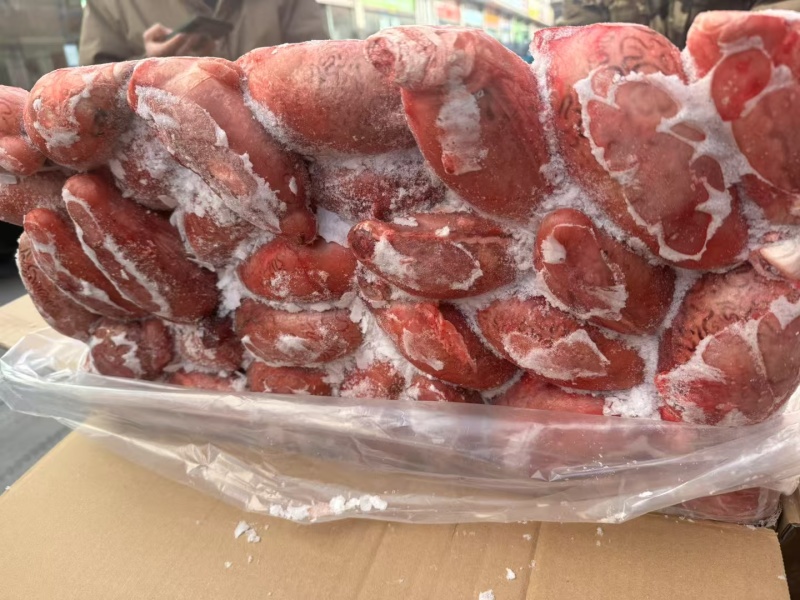 新疆大牛宝纯干货个头均匀无根牛宝，精修全国批发纯干货