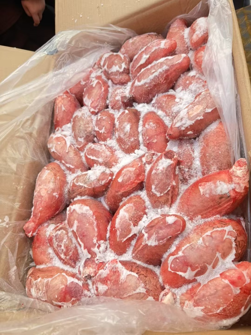 新疆大牛宝纯干货个头均匀无根牛宝，精修全国批发纯干货