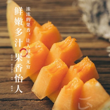 【精选】新疆吐鲁番精品至爱哈密瓜产地直发品质保障量大从优