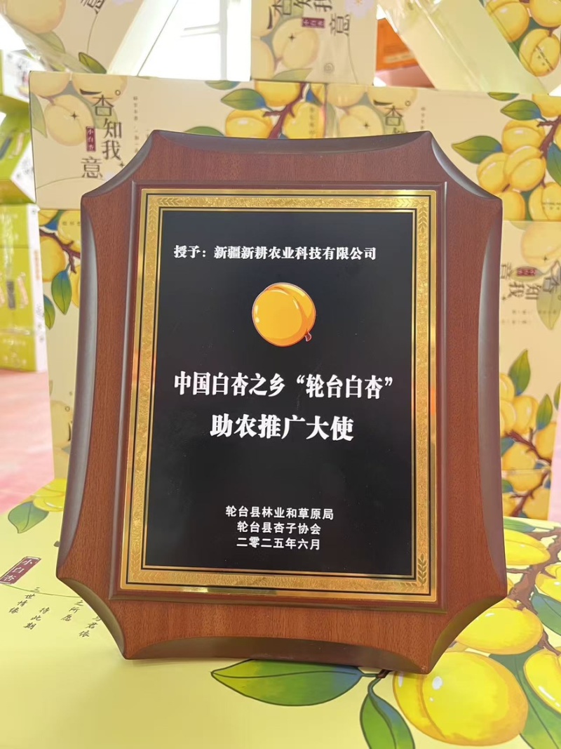 【精选】新疆吐鲁番精品至爱哈密瓜产地直发品质保障量大从优