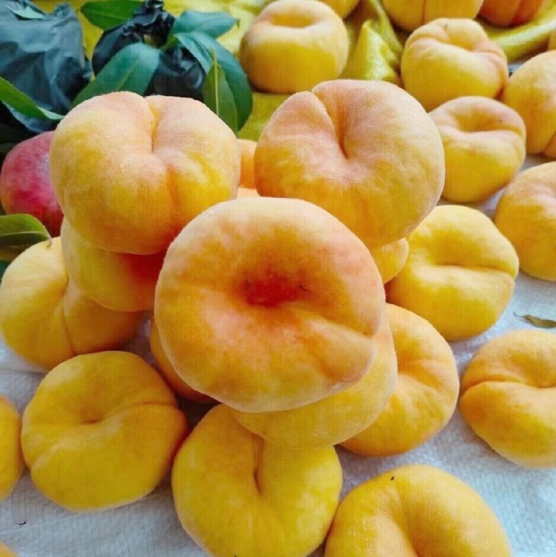 桃子盛宴，多品种桃子新鲜上市代办直发