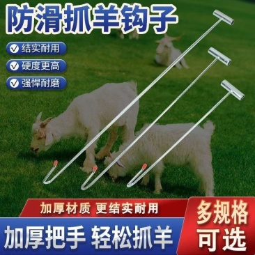 抓羊加粗捉羊钢筋器捉专用神器捕捉逮羊钩子羊器羊腿捕羊