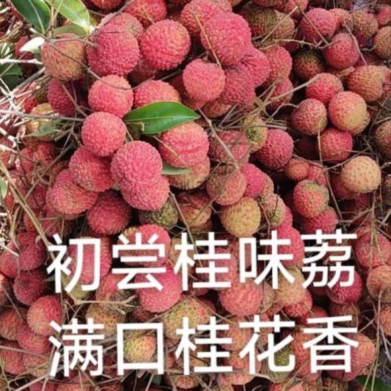 老树桂味