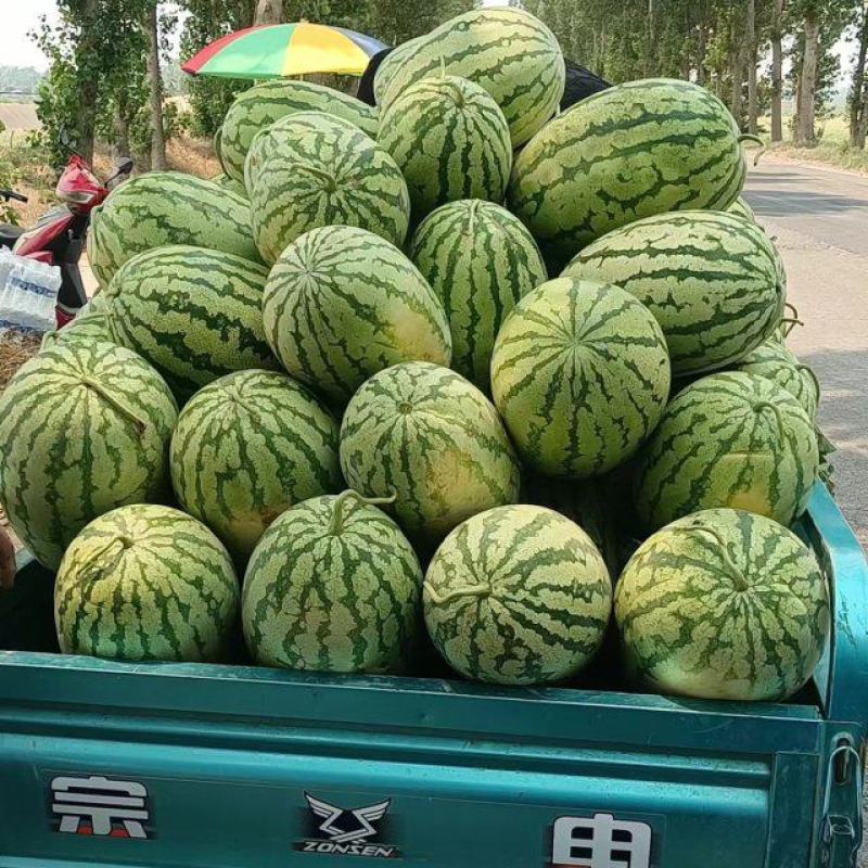 金花西瓜大量有货，需要的：老板联系