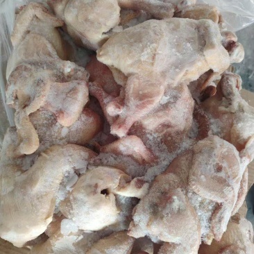 二级西装鸡