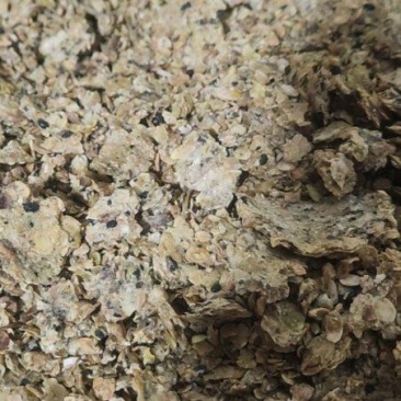 不提油全脂豆饼