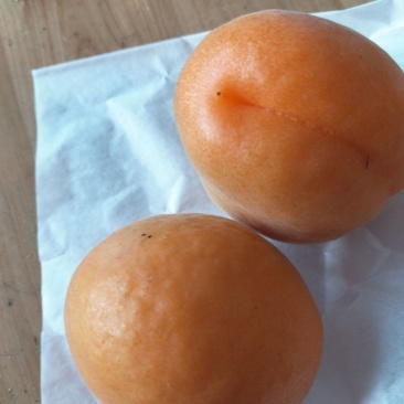 沙杏