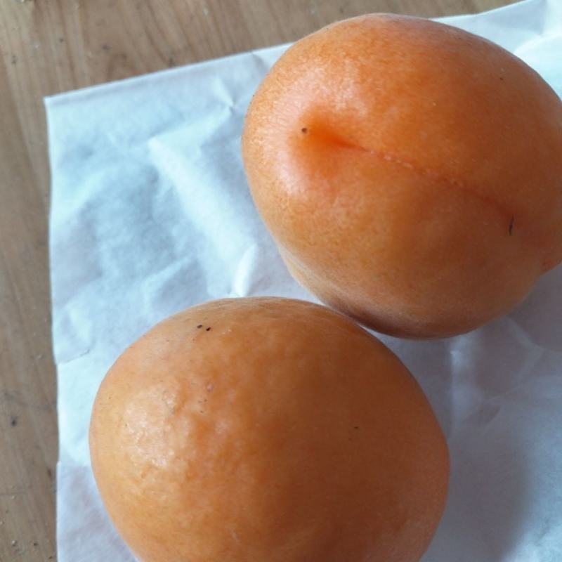 沙杏