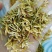 中药材素馨花素馨花干花供应中，欢迎咨询购买
