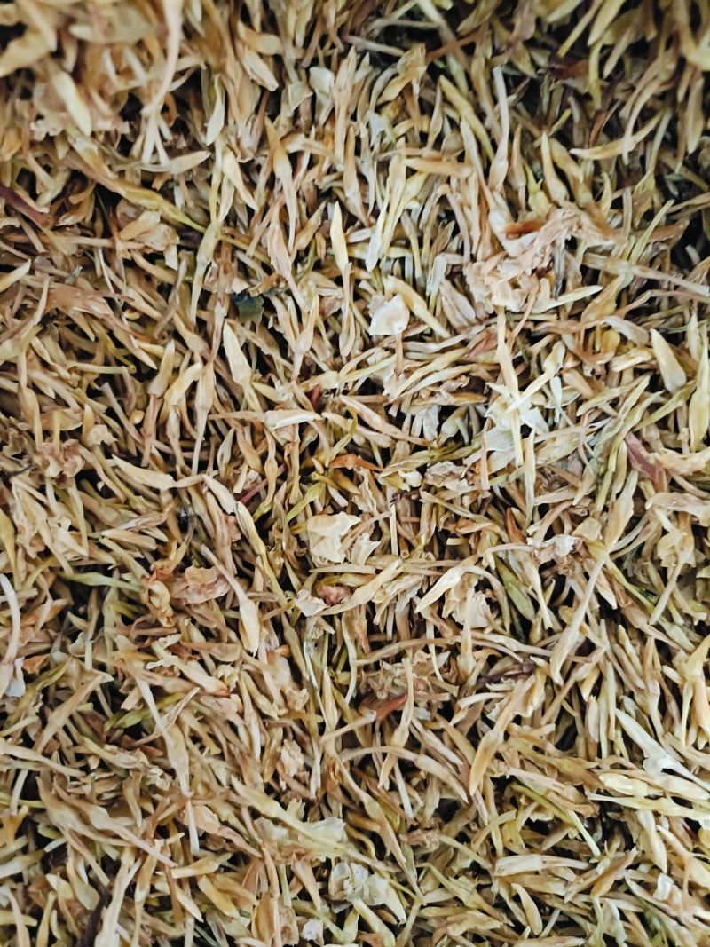 中药材素馨花素馨花干花供应中，欢迎咨询购买