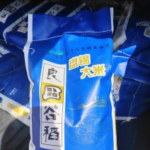 23东北珍珠大米国标一级全国一件代发