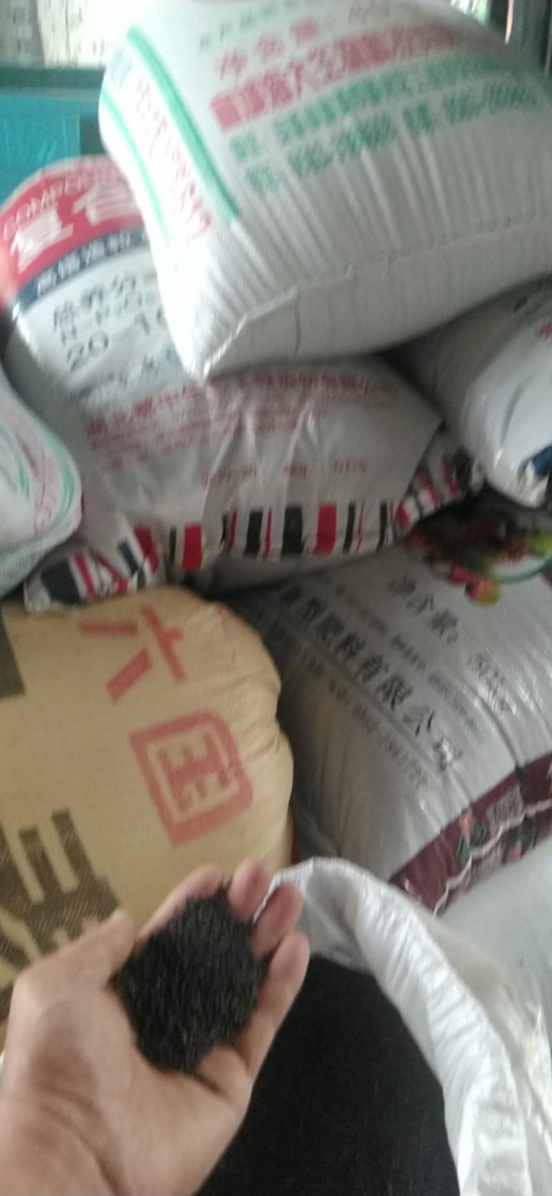 油菜籽