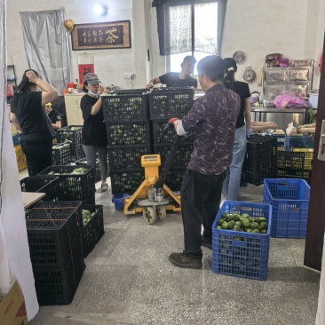 广东香水柠檬