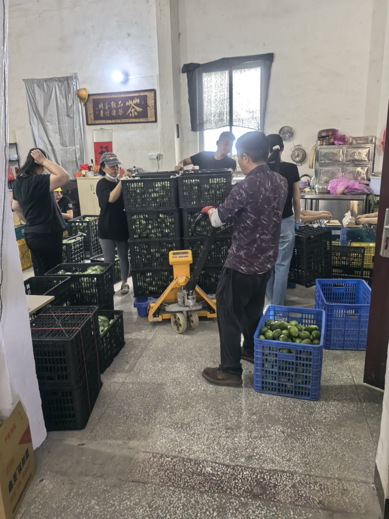 广东香水柠檬