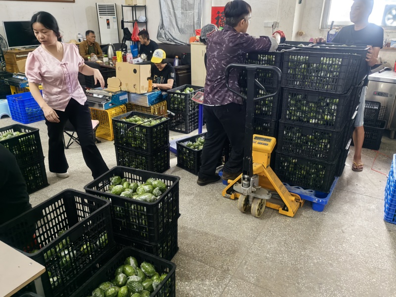 广东香水柠檬