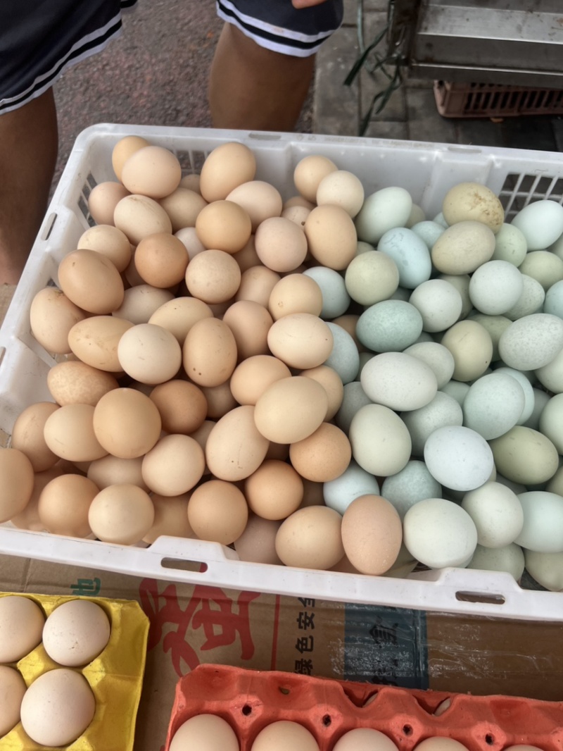 新鲜的土鸡蛋需要的联系