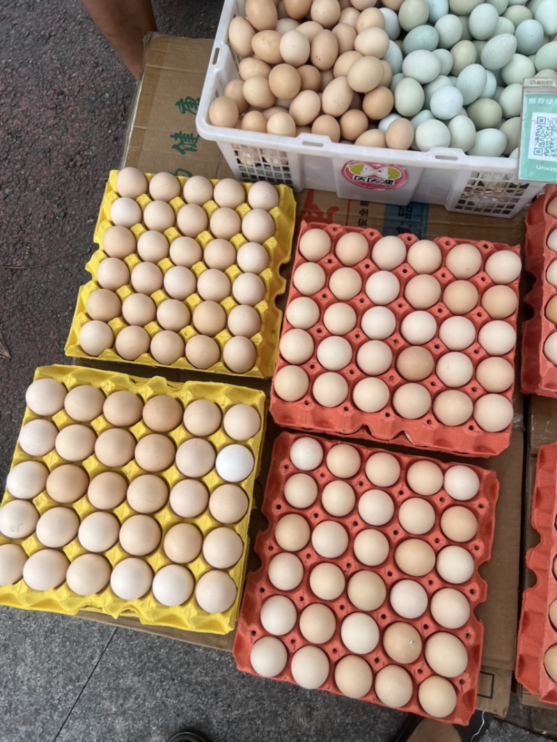 新鲜的土鸡蛋需要的联系