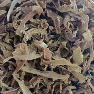 干毛竹笋子