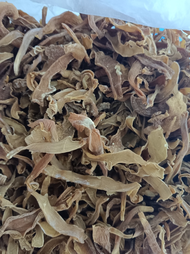 干毛竹笋子