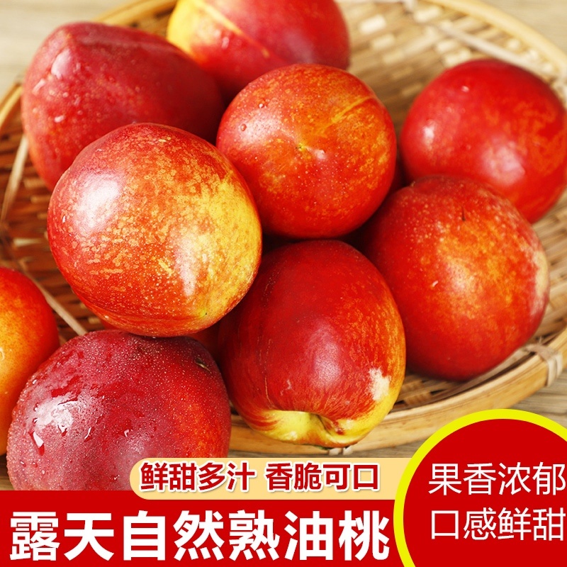 山西油桃支持市场商超社区团购电商一件代发