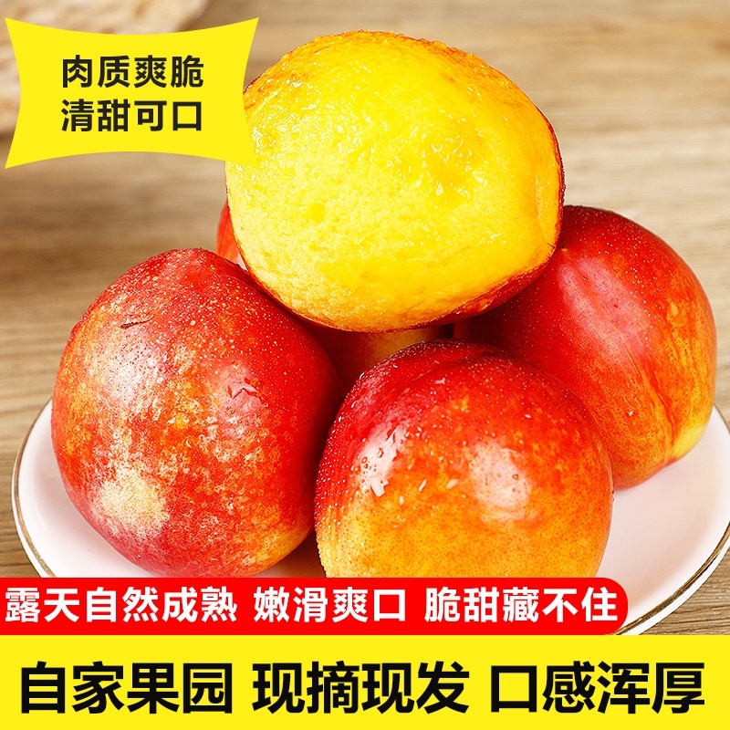 山西油桃支持市场商超社区团购电商一件代发