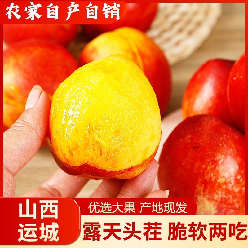 山西油桃支持市场商超社区团购电商一件代发