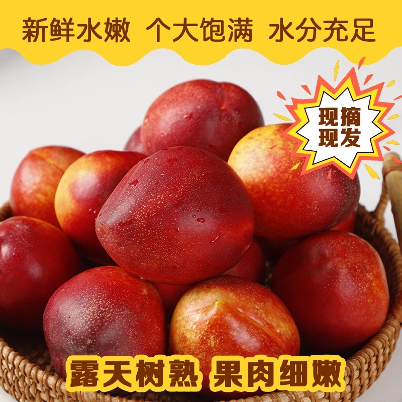 山西油桃支持市场商超社区团购电商一件代发