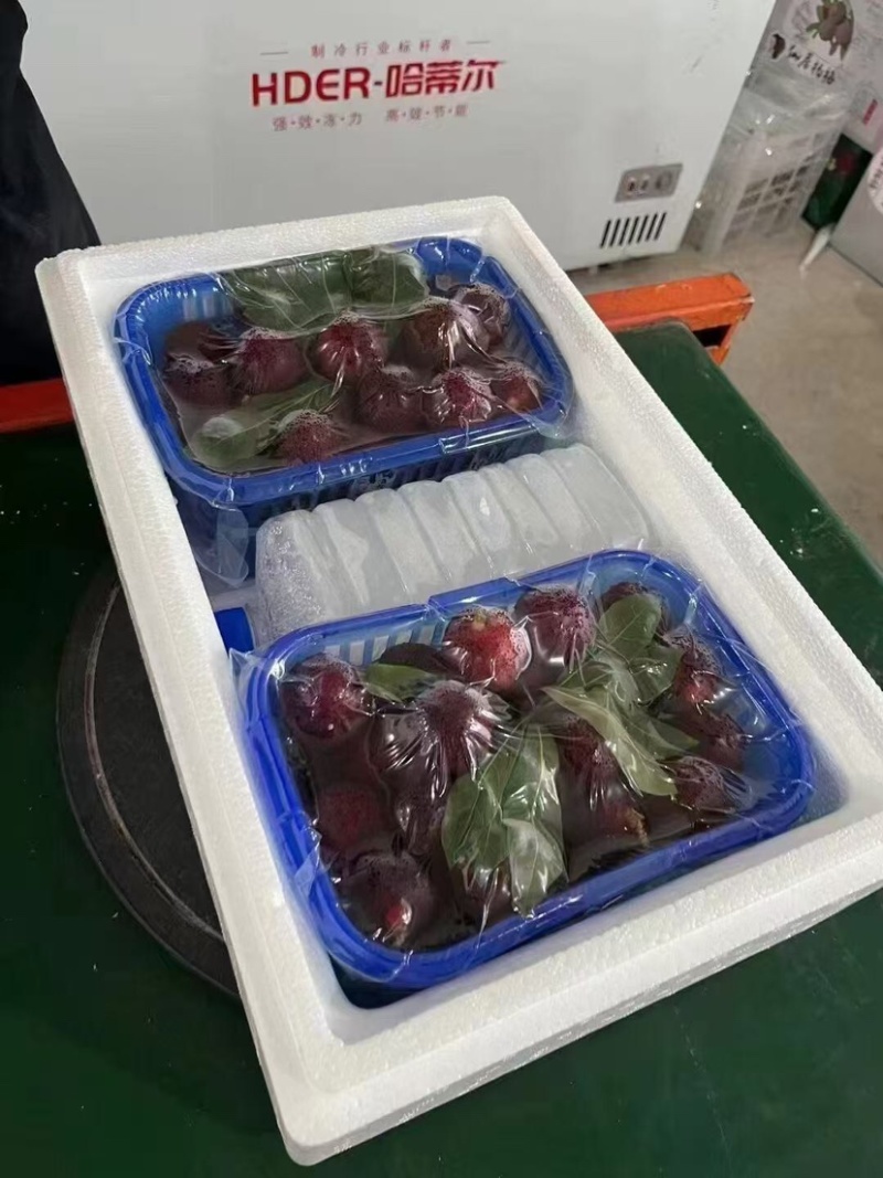 正宗台州东槐杨梅，产地直发，可接团购，送礼，欢迎订购