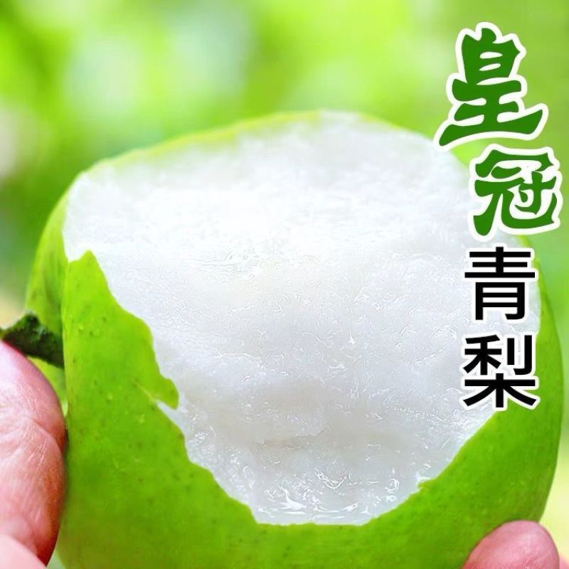 皇冠青梨，产地一手货源，量大优惠，可以视频看货，欢迎合作