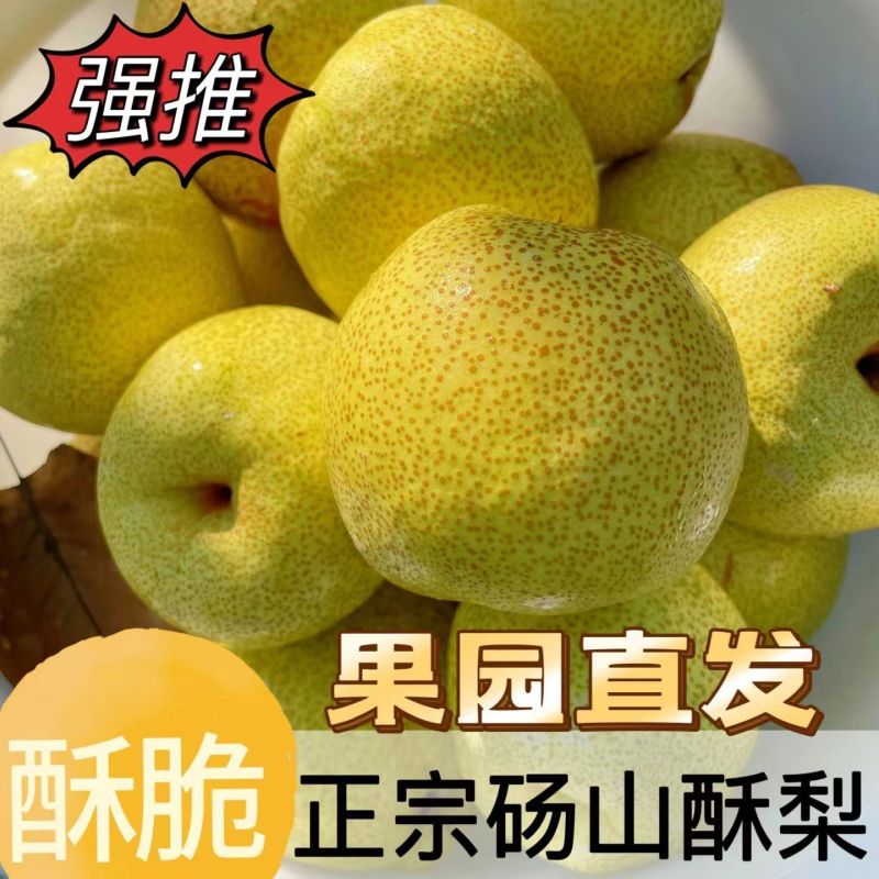 砀山酥梨，产地一手货源，量大优惠，欢迎新老客户前来合作