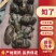 知了大量有货对接各大平台价格美丽可电话详谈
