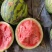【平台甄选】东北地雷瓜/洮南地雷瓜/吉林西瓜/日出3万斤